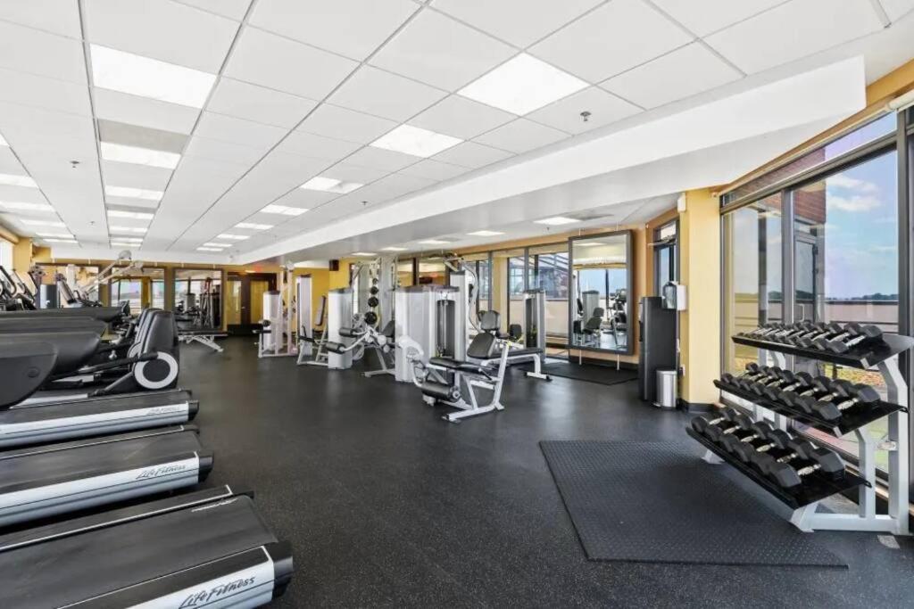 Incredible Apartment With Rooftop In Pentagon City Arlington Eksteriør billede